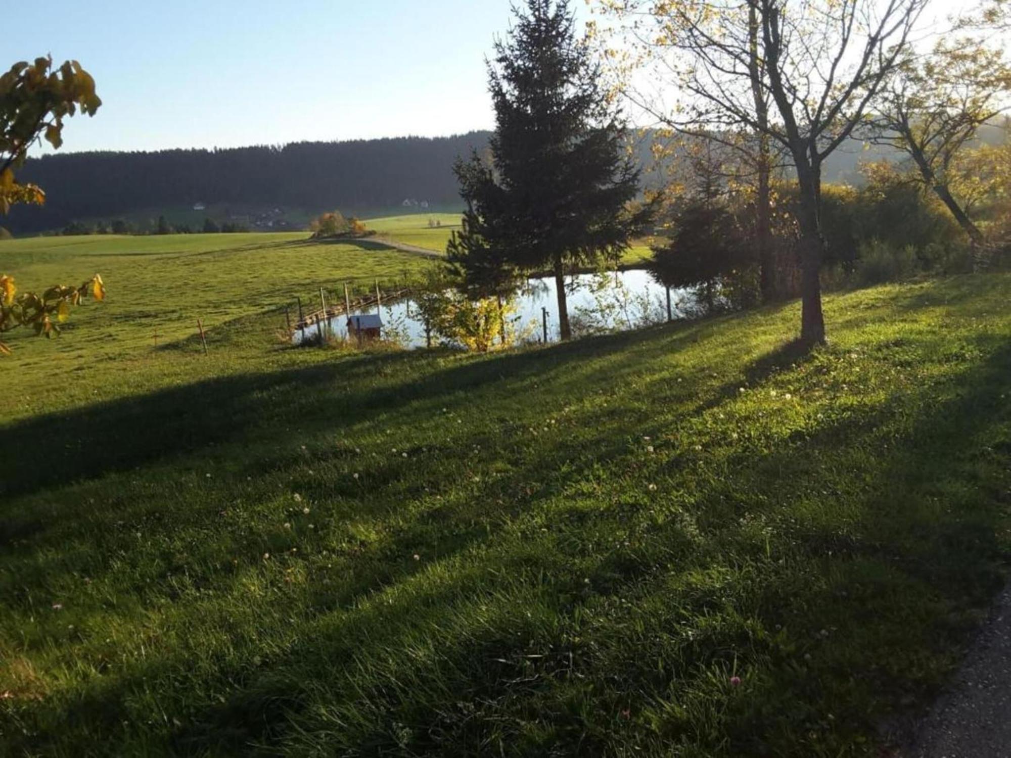 Charming Apartment In Regelsbach Near City Centre Schuttertal Bagian luar foto